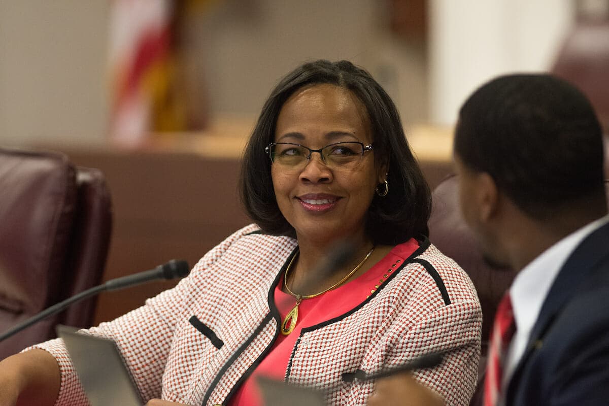 Assemblywoman announces 'unity' bid to lead divided state Democratic Party