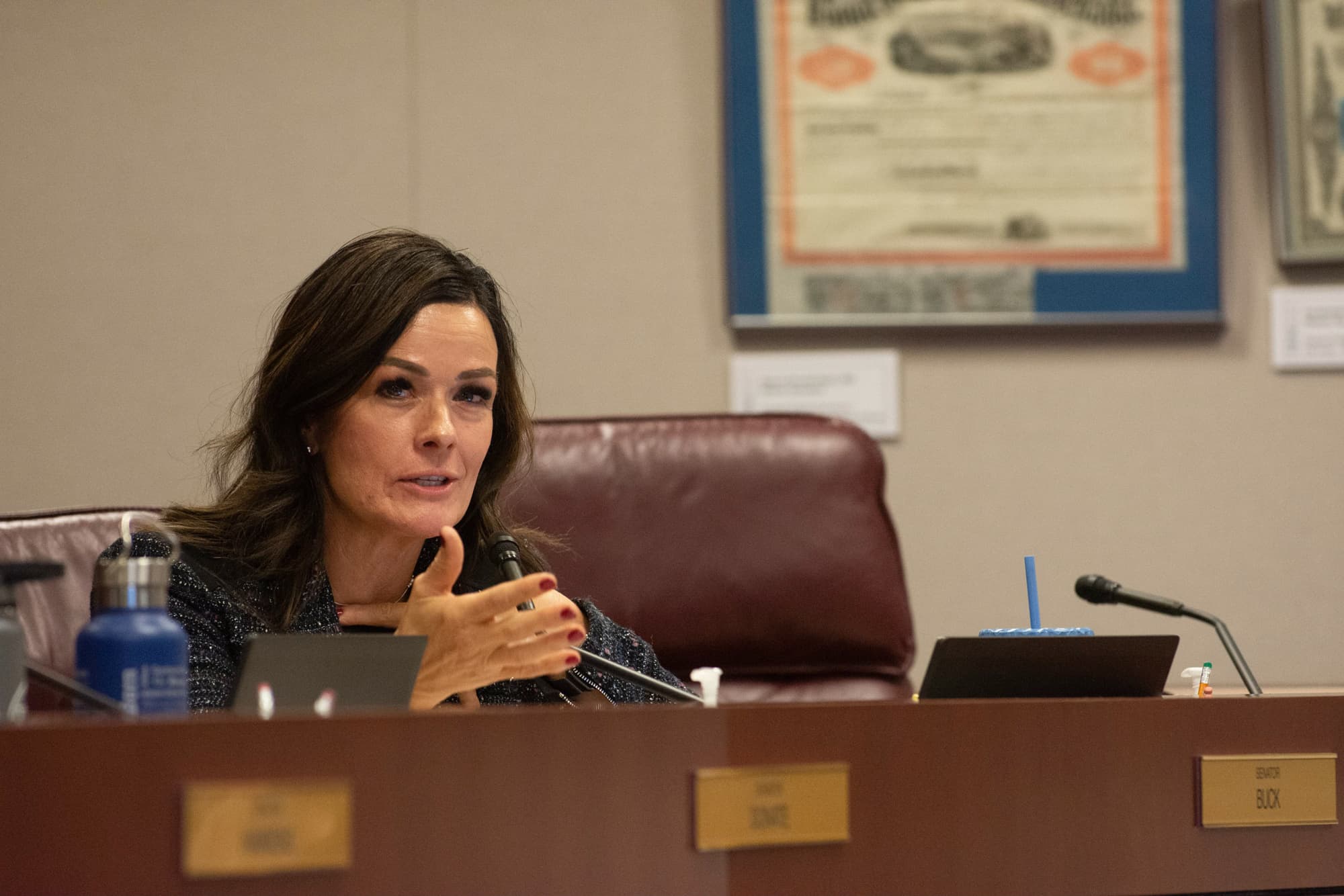 Carrie Buck, GOP state senator, launches congressional bid challenging Dina Titus