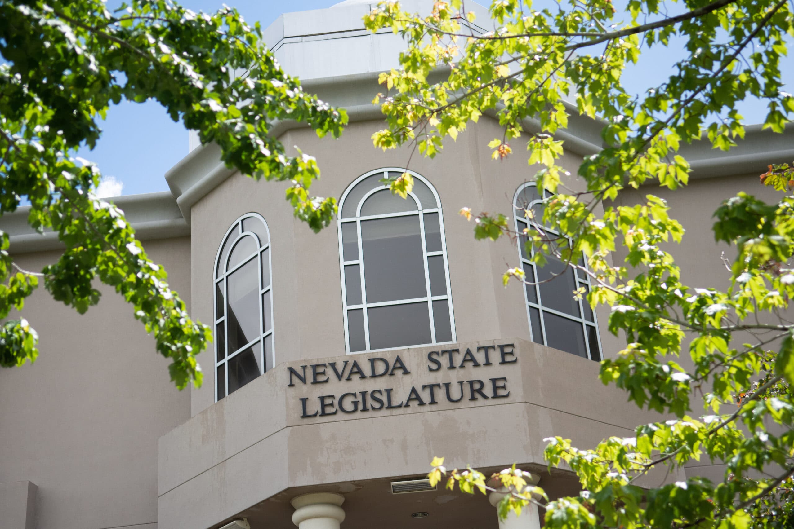 QAnon, Trump supporter running atypical candidacy in Democratic state Senate race