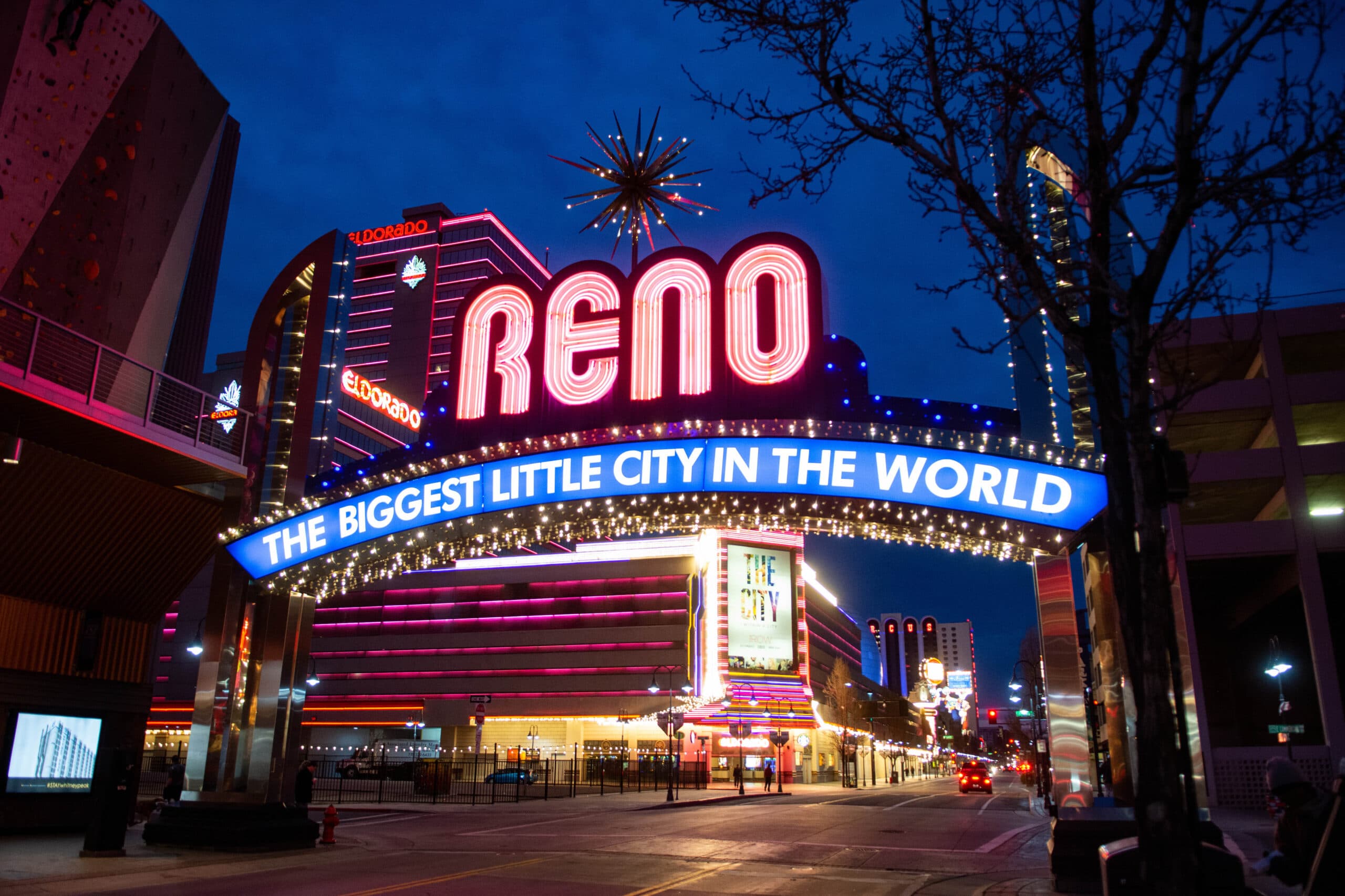Meet the 8 Democrats running in Nevada's 2nd Congressional District