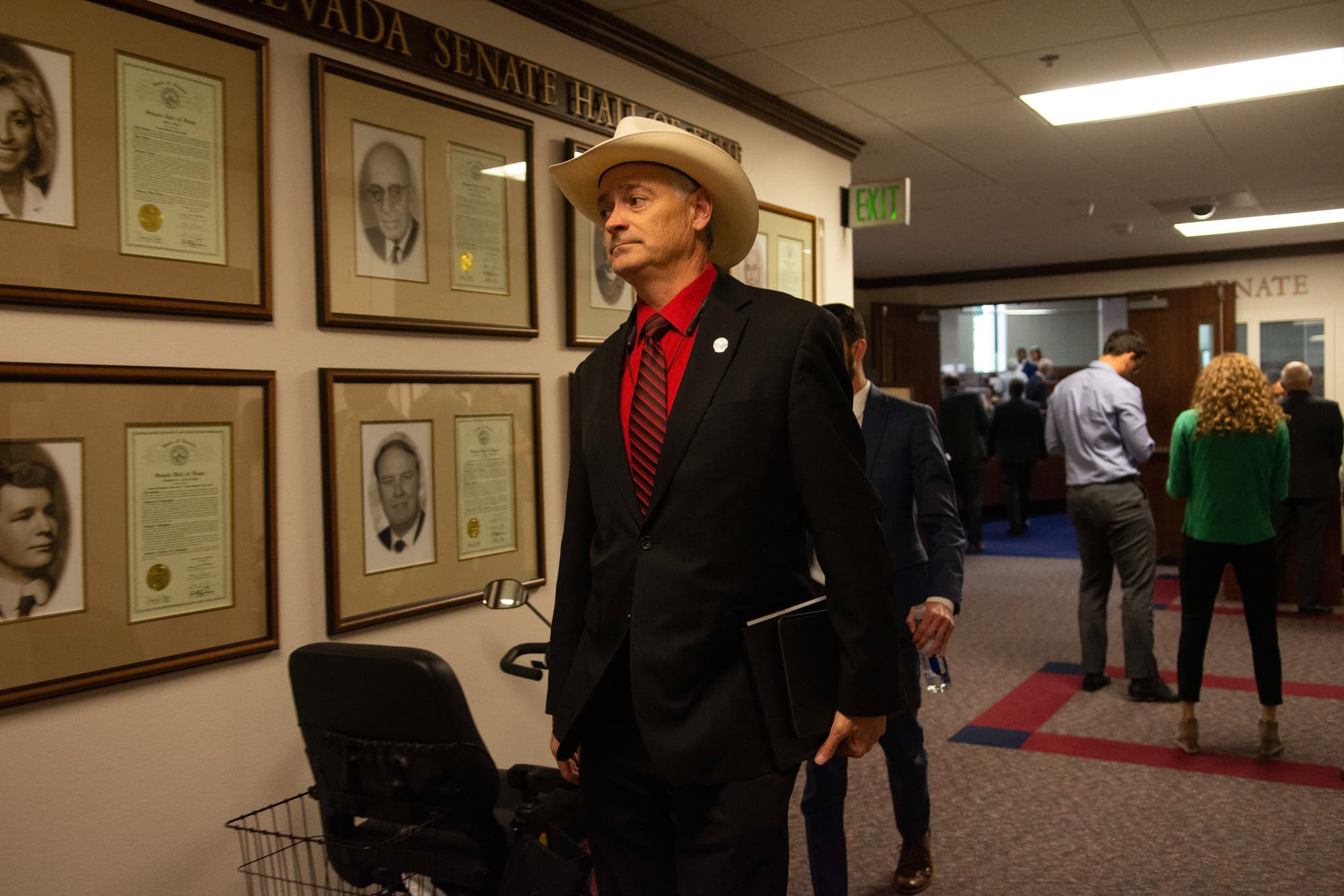 Did Settelmeyer vote to give undocumented immigrants driver's licenses?